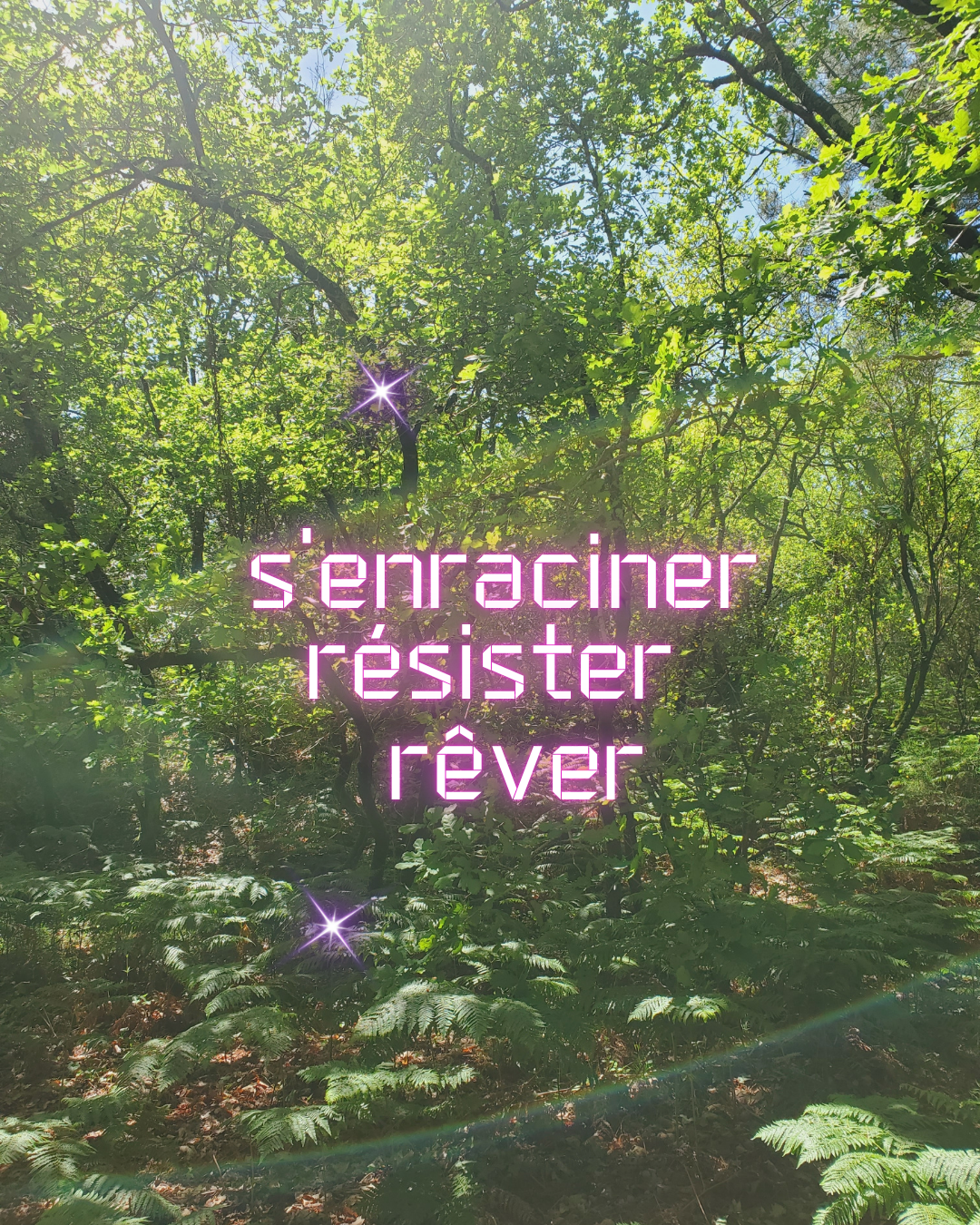Photo d’un de mes endroits préférés de la forêt qui a entièrement brûlé lors des incendies de l’été 2022. Merci à ce lieu et ces arbres qui m’ont tant soutenue dans un moment de transition difficile.