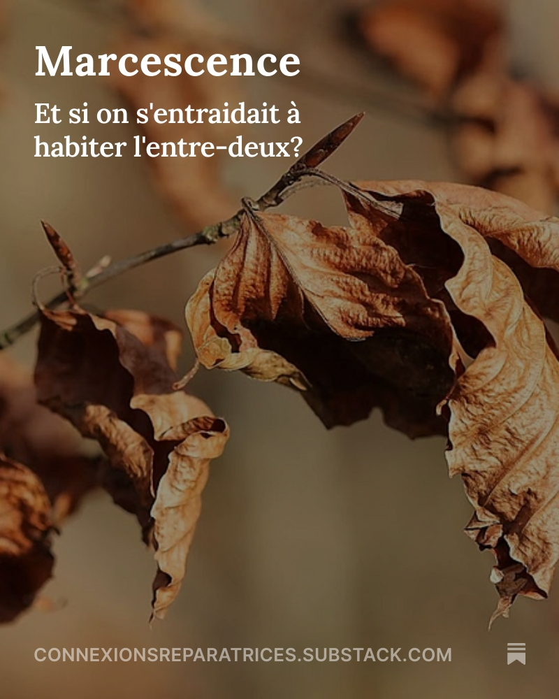 Photo en gros plan de feuilles d'arbres séchées mais toujours accrochées à la branche de l'arbre, elles côtoient aussi deux bourgeons fins sur la même branche.