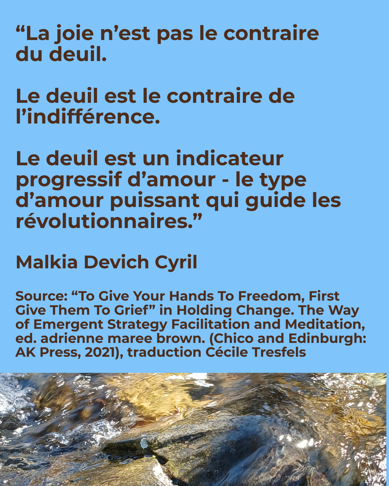 Texte en marron sur fond blu clair: “La joie n’est pas le contraire du deuil.  Le deuil est le contraire de l’indifférence.  Le deuil est un indicateur progressif d’amour - le type d’amour puissant qui guide les révolutionnaires.” Malkia Devich Cyril. Au-dessous du texte, la photo d'un torrent où l'eau vive enveloppe et recouvre les rochers émergés.